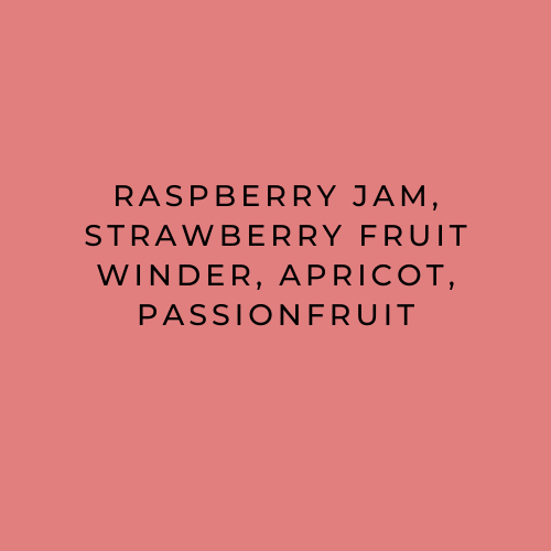 Flavour Descriptions: Raspberry Jam, Strawberry Fruit Winder, Apricot, Passionfruit. On a red background