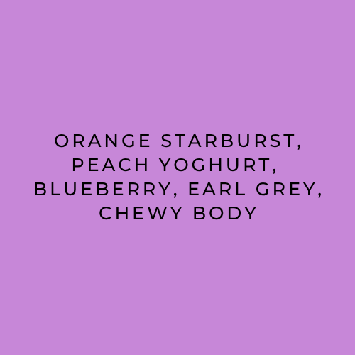 Bekele Yutute tasting notes: Orange Starburst, peach yoghurt, blueberry, Earl Grey, chewy body