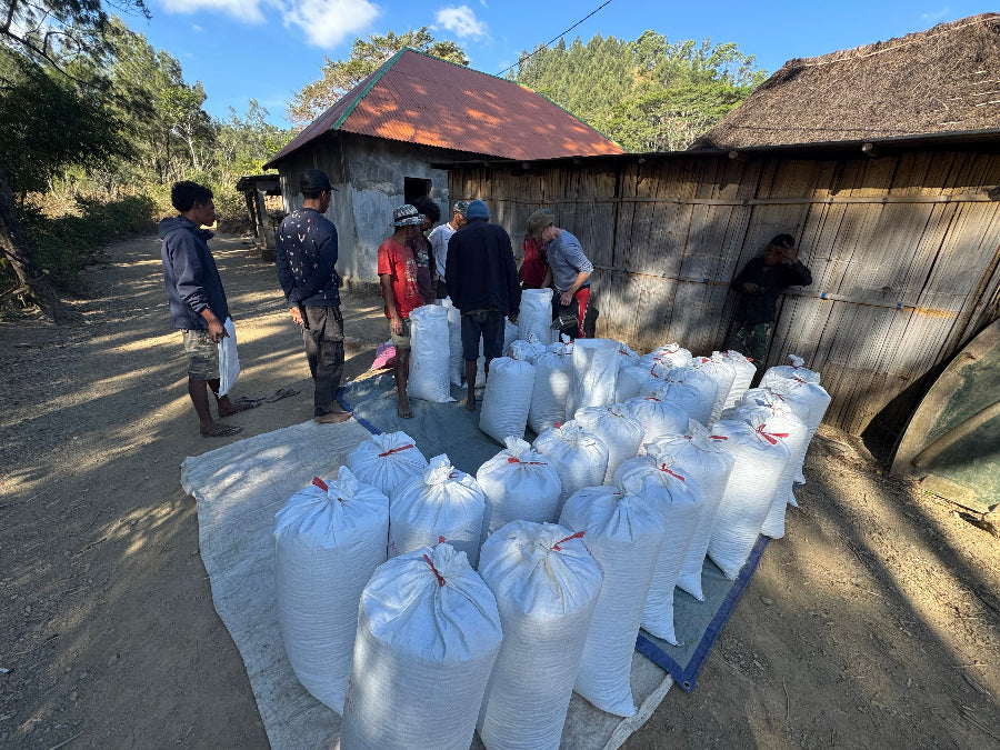 Producers selling coffee cherries in East Timor.