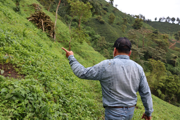 Man pointing towards a lush green hillside with trees