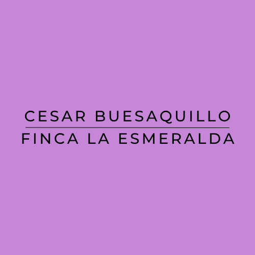 Cesar Buesaquillo Esmeralda