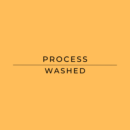 Jairo Arcila Washed Process Chiroso