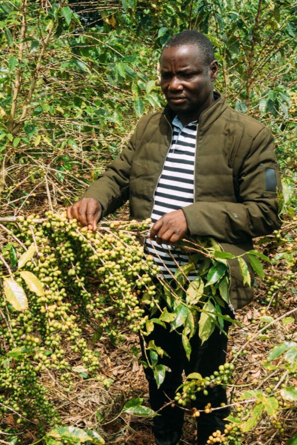 Coffee farmer Jean Paul
