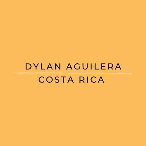 Text 'DYLAN AGUILERA COSTA RICA' on a yellow background