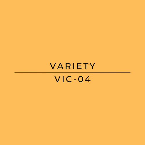 Text 'VARIETY VIC-04' on a yellow background
