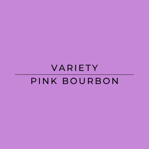 Esmeralda Pink Bourbon