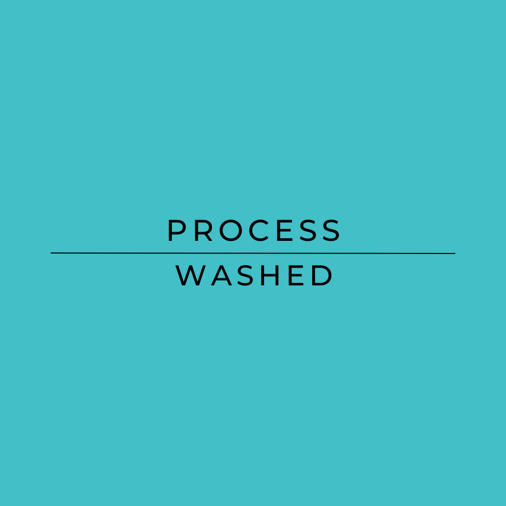 Bensa Ethiopian Coffee Process - Washed