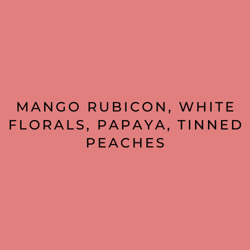 Flavour descriptions for Rumudamo anaerobic natural mango rubicon, white florals, papaya, tinned peaches