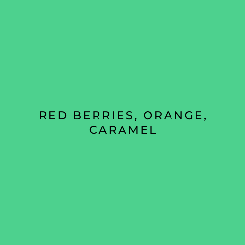 A solid green color swatch with centered black text reading 'RED BERRIES, ORANGE, CARAMEL'.