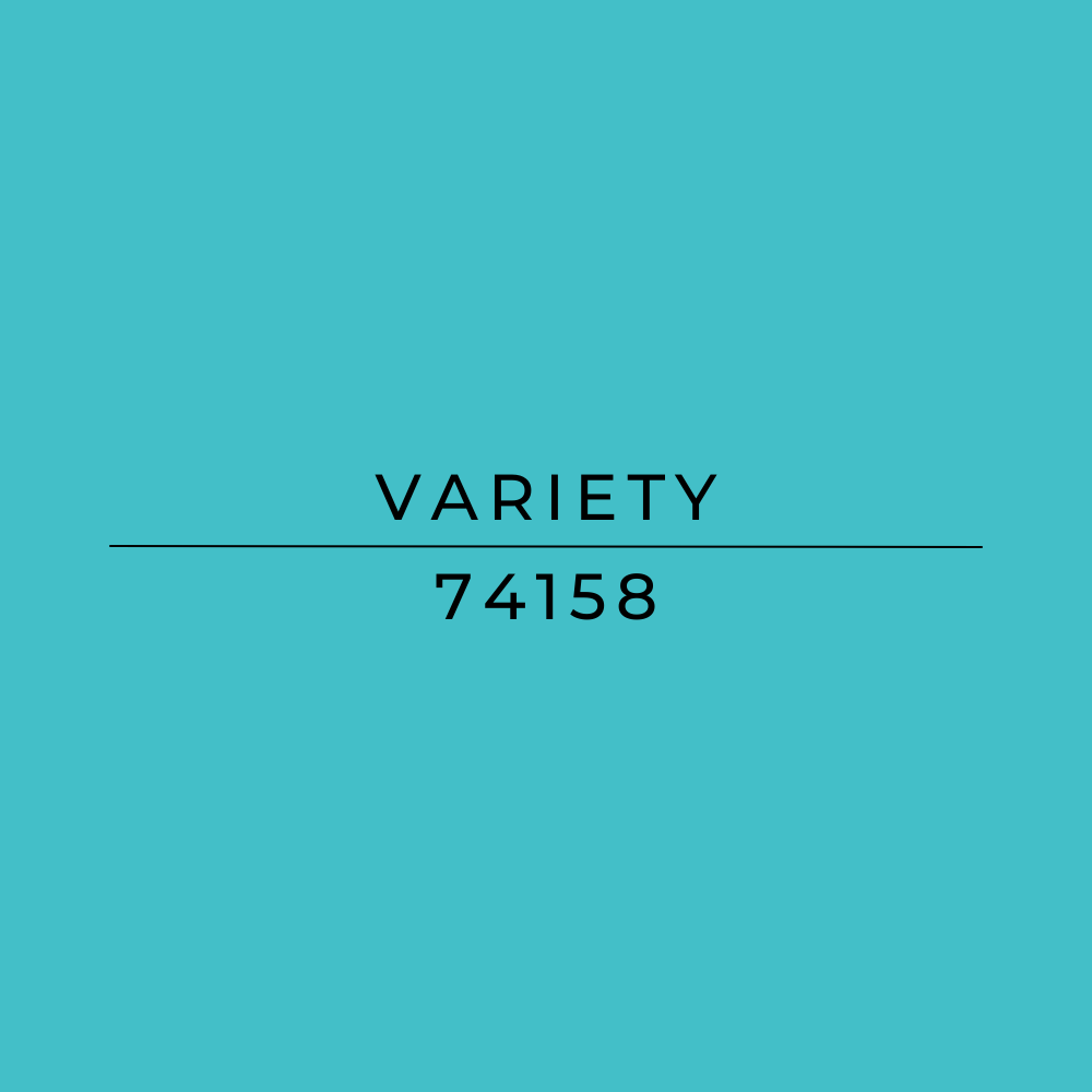 Bensa Ethiopian Coffee Bean Variety - 74158
