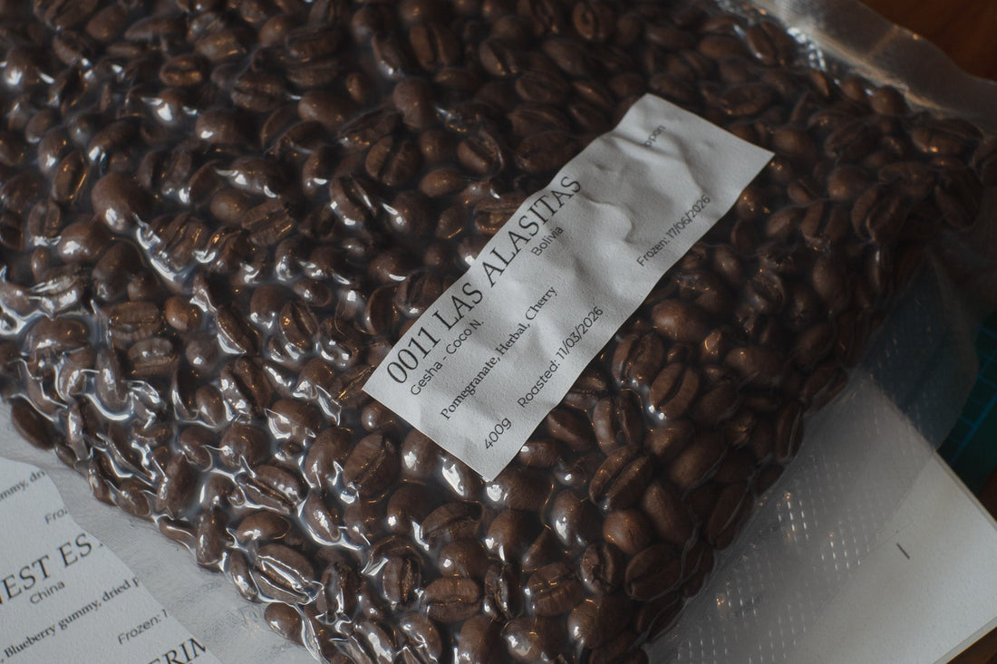 Frozen Vacuum pack of coffee beans from our guide: Freezing coffee, the ultimate guide to bean storage