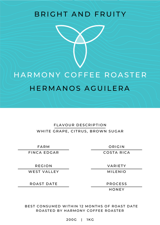 Costa Rica Hermanos Aguilera Coffee archive