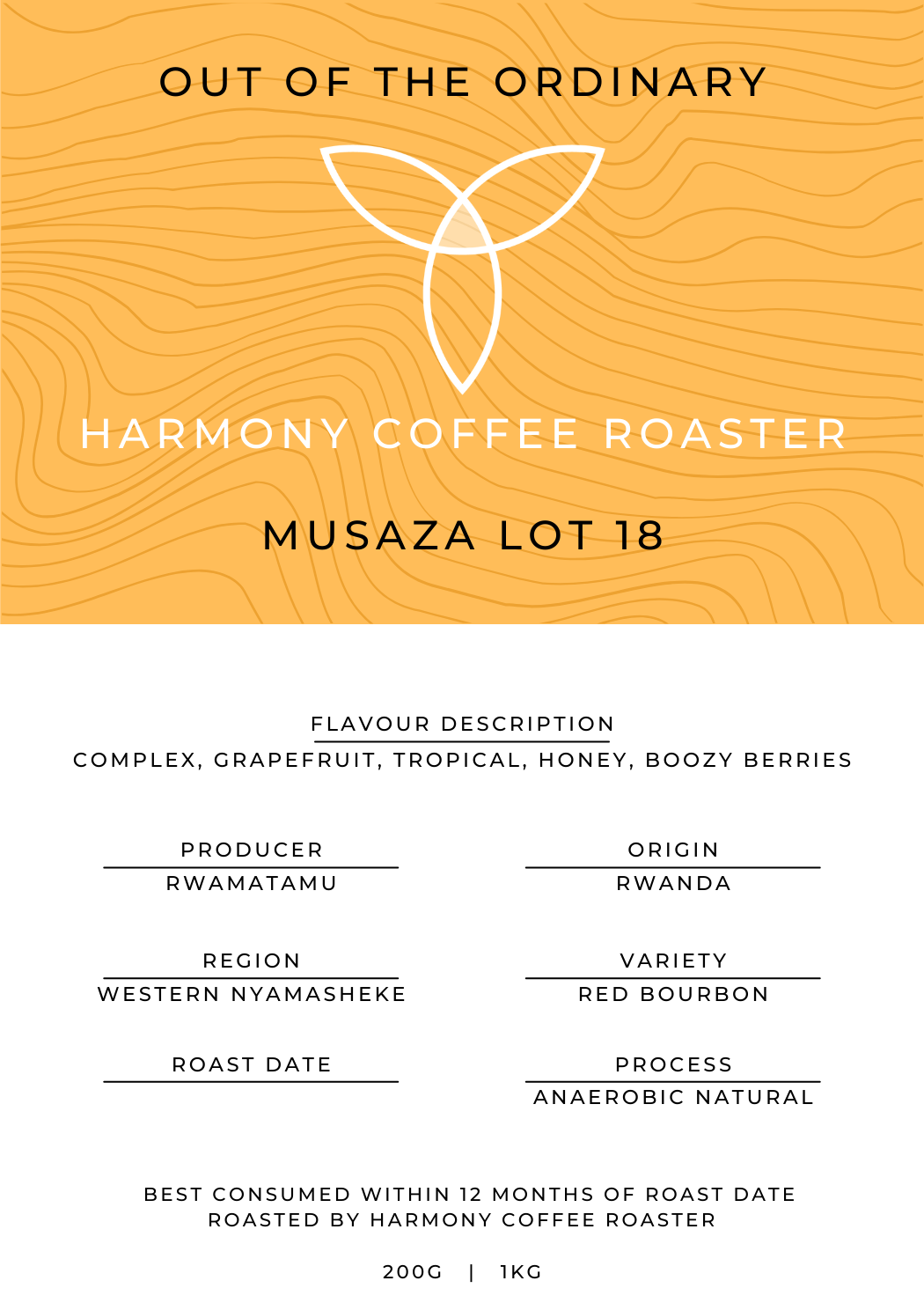 Musaza Lot 18 Archive