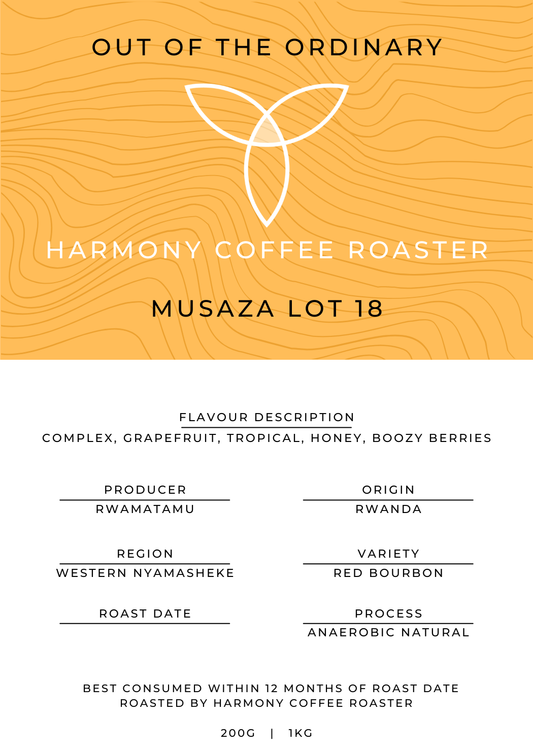 Musaza Lot 18 Archive