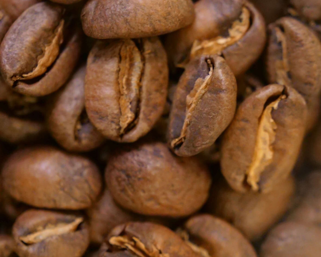Roasted Sidra coffee beans