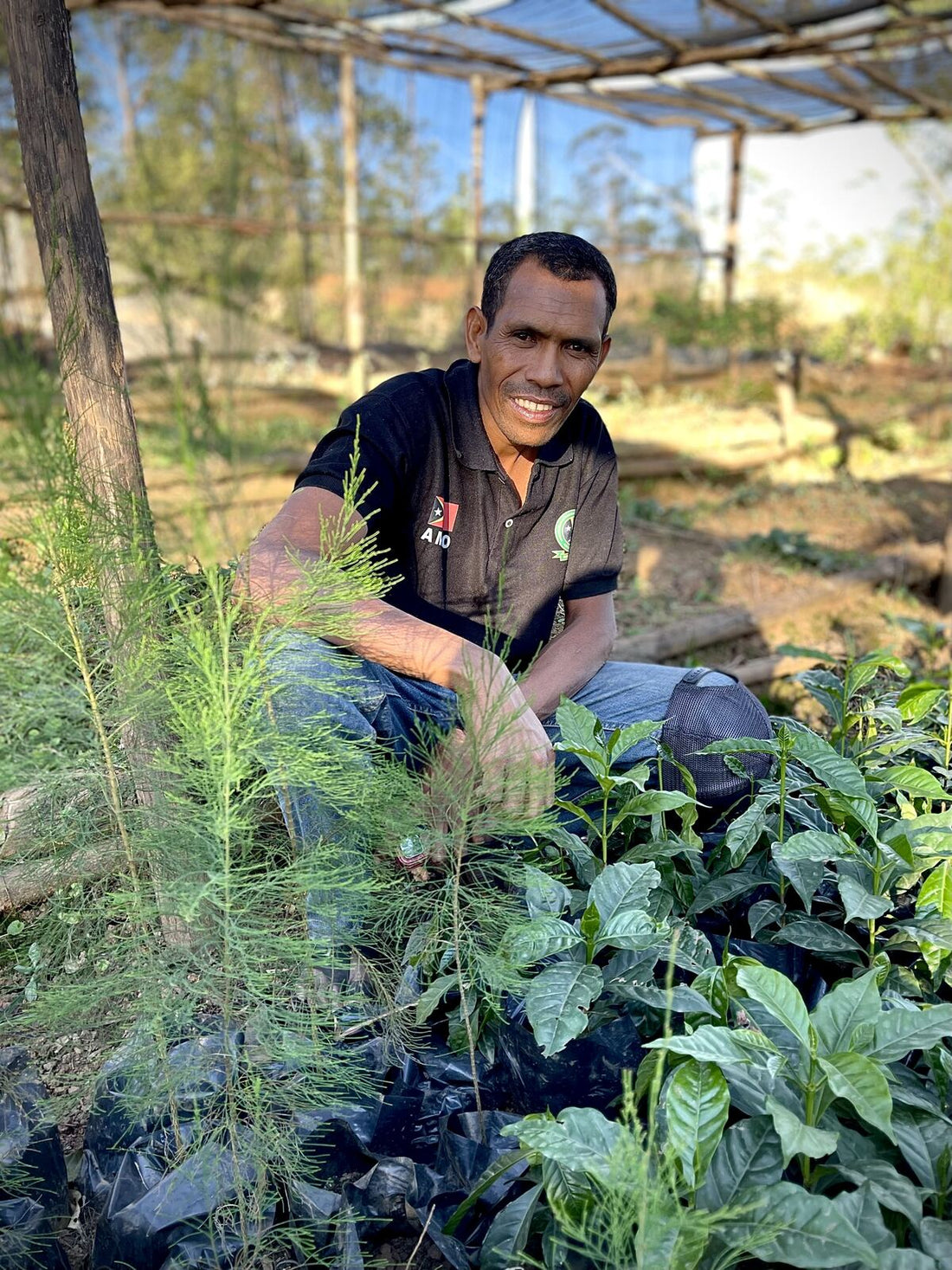 Maun Simao from Karst Organics with coffee and shade tree saplings in East Timor
