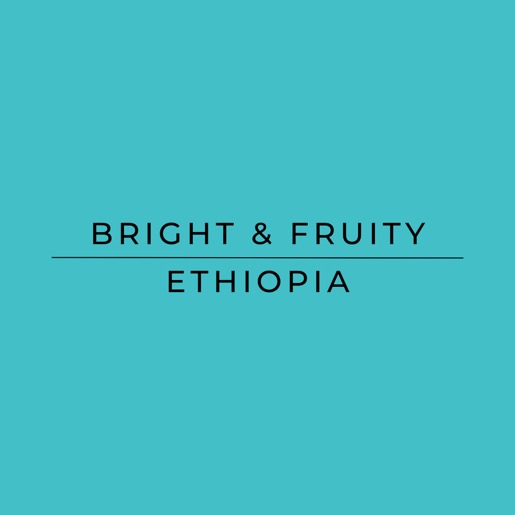 Bright & Fruity Ethiopia - Harmony Coffee Roasters