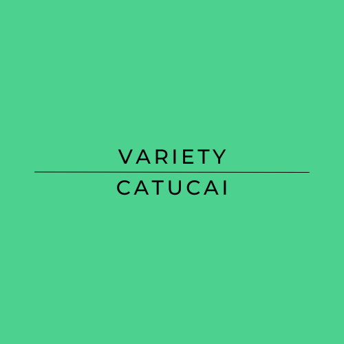 A solid green square graphic with centered black text reading 'VARIETY CATUCAI' and a horizontal line between the words.