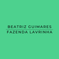 Text 'BEATRIZ GUIMARES FAZENDA LAVRINHA' on a green background