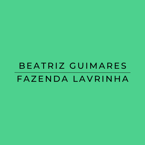 Text 'BEATRIZ GUIMARES FAZENDA LAVRINHA' on a green background