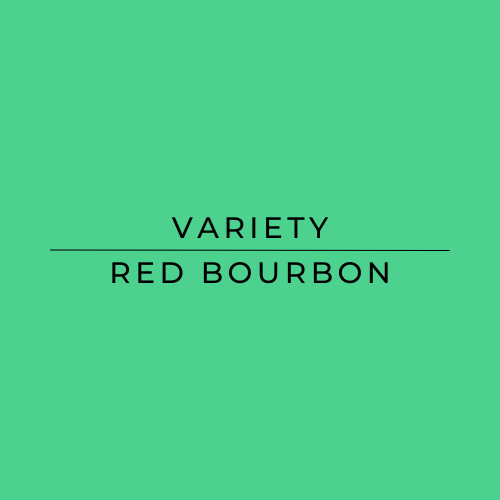Text 'VARIETY RED BOURBON' on a green background