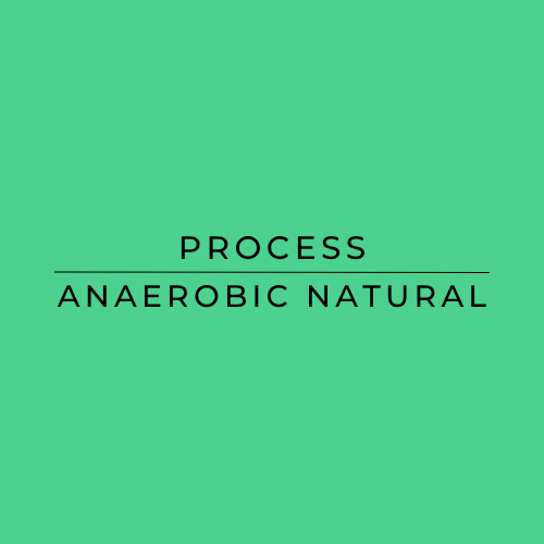 Text: Anaerobic Natural Process with a green background