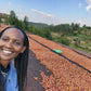 Bernice sorting coffee cherries at Mbare