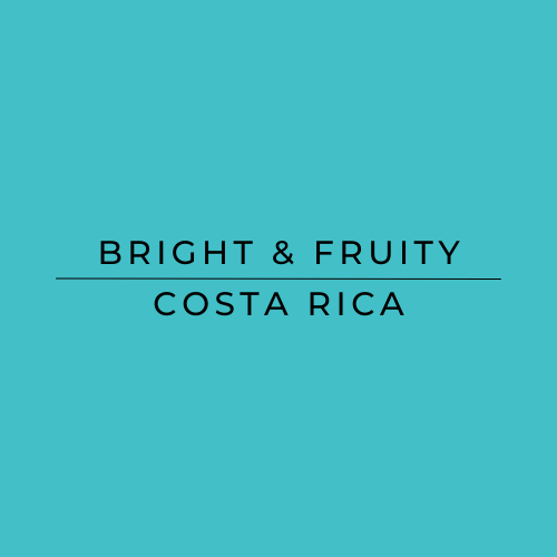 Text 'BRIGHT & FRUITY COSTA RICA' on a teal background