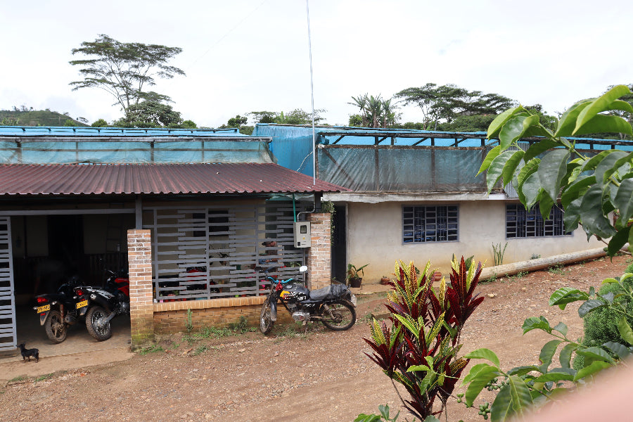 Small building with a red roof and a motorcycle parked outside, surrounded by greenery.