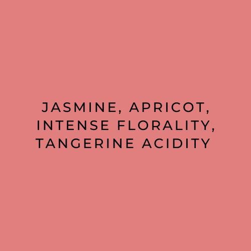 Text on a pink background describing jasmine, apricot, intense florality, and tangerine acidity.