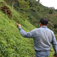 Man pointing towards a lush green hillside with trees