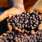 Dried coffee cherries in Ethiopia on hands