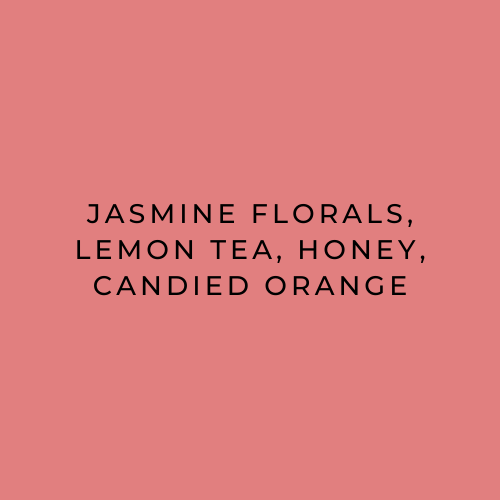 Text on a pink background with product names.