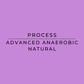 A solid purple square graphic with centered black text reading 'PROCESS' and 'ADVANCED ANAEROBIC NATURAL' separated by a horizontal line.