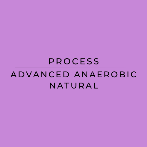 A solid purple square graphic with centered black text reading 'PROCESS' and 'ADVANCED ANAEROBIC NATURAL' separated by a horizontal line.