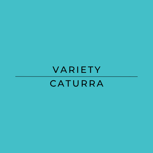 Text 'VARIETY CATURRA' on a teal background