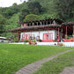 El Diviso coffee farm House with a garden and greenery in the background