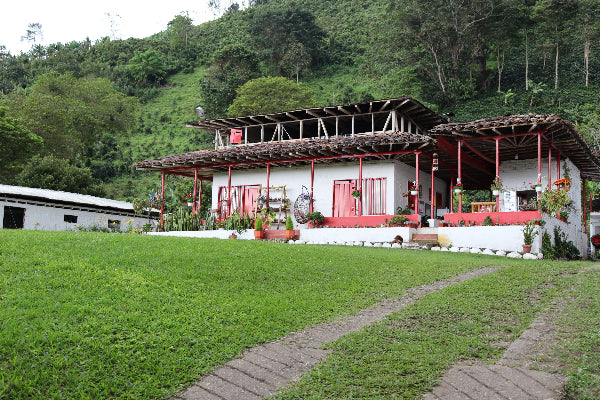 El Diviso coffee farm House with a garden and greenery in the background