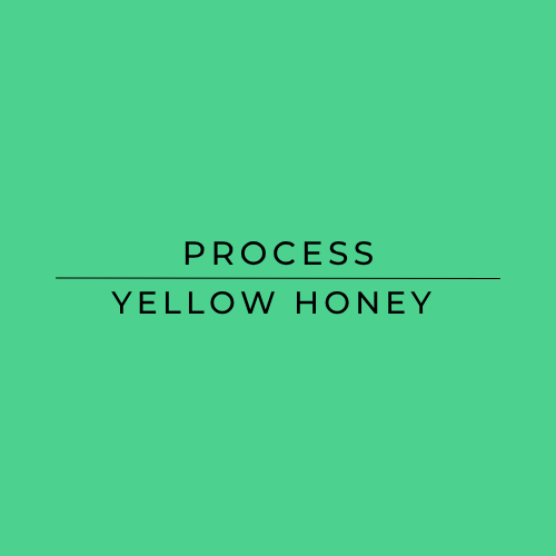 Green background with 'PROCESS' and 'YELLOW HONEY' text
