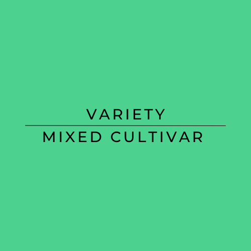 Text 'VARIETY MIXED CULTIVAR' on a green background
