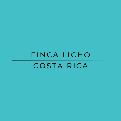 Text 'FINCA LICHOCOSTA RICA' on a teal background