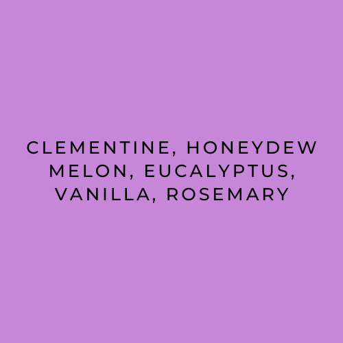 Flavour descriptions for Harmony Coffee's Jairo Arcila Chiroso: Clementine, honeydew melon, eucalyptus, vanilla, rosemary. on a purple background