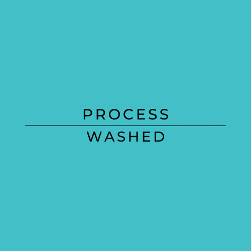 Text 'PROCESS WASHED' on a teal background