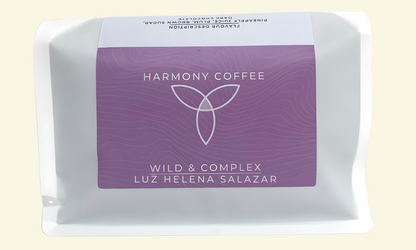 Luz Helena Salazar Bag