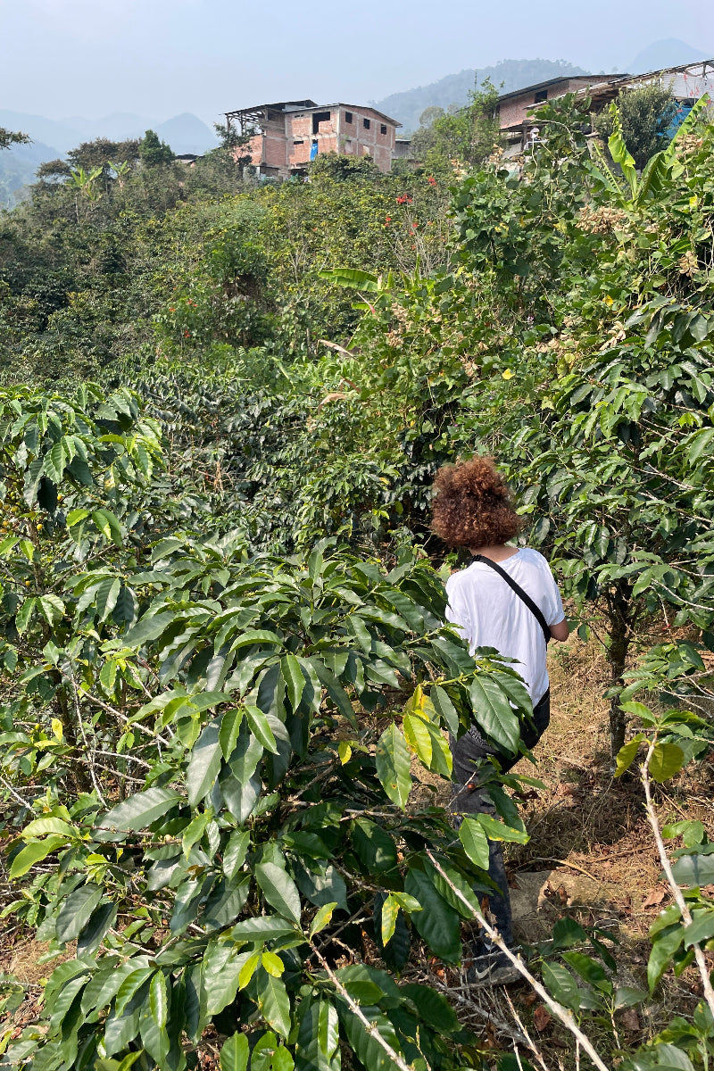 Lea in a coffee farm in El Diamente