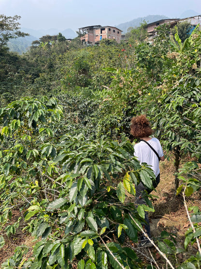 Lea in a coffee farm in El Diamente