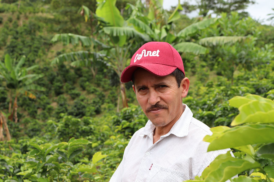 Man wearing a red cap with 'Cofinet' branding in a coffee plantation.