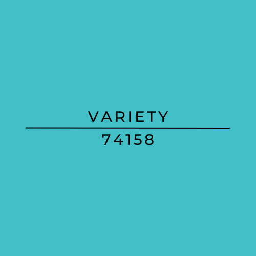A solid turquoise color swatch with black text reading 'VARIETY' and '74158' centered on the image.