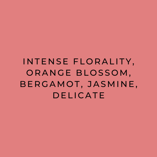 A solid coral pink color swatch with centered black text reading: 'INTENSE FLORALITY, ORANGE BLOSSOM, BERGAMOT, JASMINE, DELICATE'.