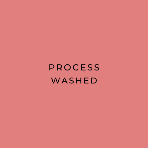 A solid dusty rose pink square graphic with the words 'PROCESS WASHED' centered in black sans-serif text, divided by a horizontal black line.